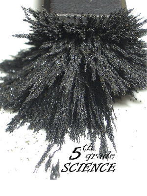 cover image of 5th Grade Science eTextbook